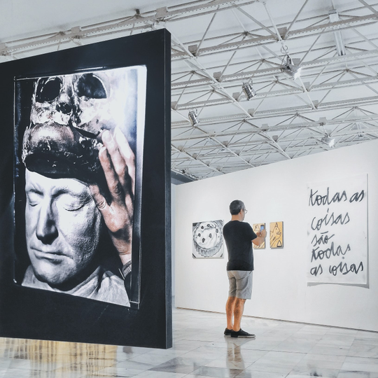 Artivive AR Vision